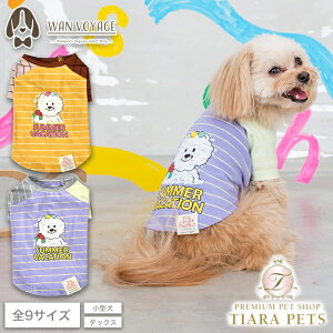 fB[Y`bg D's CHAT fB[YNzFTVcy ^ hbOEFA gbvX TVcz