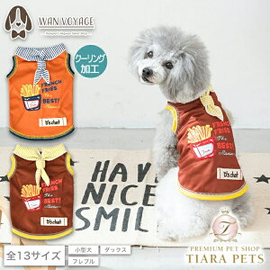 fB[Y`bg D's CHAT |egZ[[^Ny ^ hbOEFA gbvX ^Ngbvz