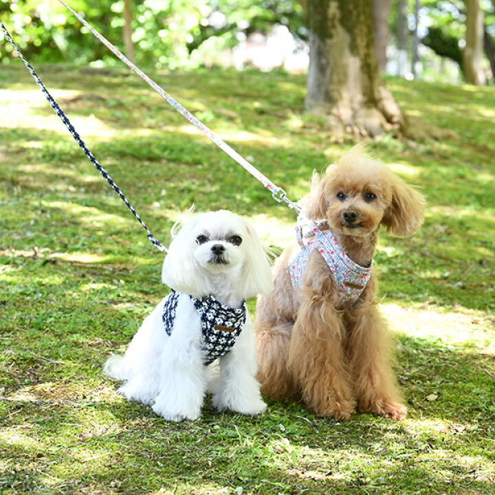 楽天市場 ローラアシュレイ Laura Ashley ボディ ハーネス 花柄 ピンク S 小型犬 ハーネスベスト ハーネスドレス 胴輪 セレブ Tiara Pets 楽天市場 ローラアシュレイ Laura Ashley ボディ ハーネス 花柄 ピンク S 小型犬 ハーネスベスト ハーネスドレス 胴輪 セレブ Tiara Pets