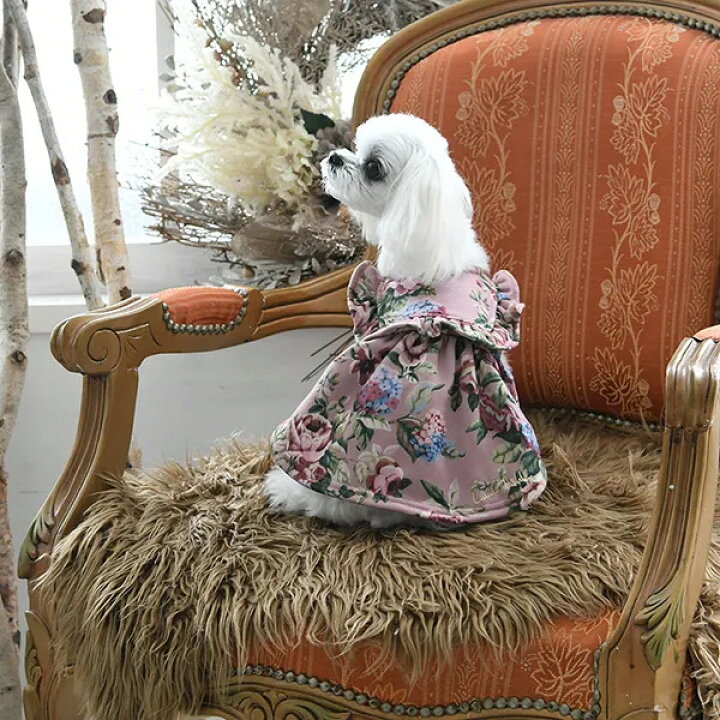楽天市場 ローラアシュレイ Laura Ashley フリルワンピース 小型犬 犬服 ウエア ワンピース ドレス セレブ 送料無料 Tiara Pets