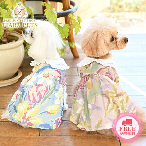 y0̂̓|Cg5{!!&eN[|s!!z[AVC LAURA ASHLEY ݕts[Xy^  EGA s[X hX Zuz 