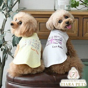 [AVC LAURA ASHLEY jIWbNvg^Ny^  EFA gbvX ^Ngbv Zuz