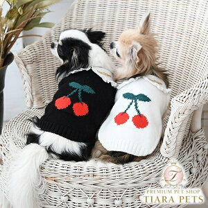 IN^[ One Octave ڃjbgy^  EGA gbvX jbg Z[^[ Zuz