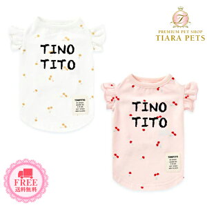 eBmeB[g TINOTITO `F[t^N(XL/XXL)y^  EGA gbvX ^N JWAz 