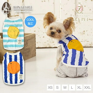 y1118|Cg2{!!zeBmeB[g TINOTITO t[cAbvP^Ny^  EGA gbvX p[J[ JWAz 