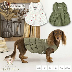 eBmeB[g TINOTITO n[gvgsy^  EGA gbvX p[J[ JWAz 