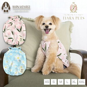 y1118|Cg2{!!zeBmeB[g TINOTITO t[vgL~y^  EGA gbvX ^N JWAz 