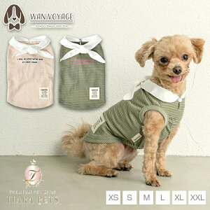 y1118|Cg2{!!zeBmeB[g TINOTITO ы݃{[_[^Ny^  EGA gbvX ^N JWAz 