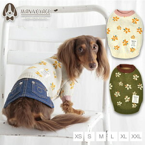 y1118|Cg2{!!zeBmeB[g TINOTITO ԕjbgy^  gbvX jbg Z[^[z