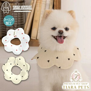 eBmeB[g TINOTITO n[gN[OX^Cy^ p X^C JWAz