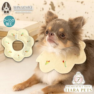 y1118|Cg2{!!zeBmeB[g TINOTITO `[bvN[OX^Cy^ p X^C JWAz