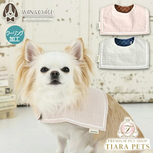 eBmeB[g TINOTITO XNGAN[OX^Cy^ p X^C JWAz