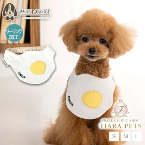 y1118|Cg2{!!zeBmeB[g TINOTITO ڋʏĂN[OX^Cy^ p X^C JWAz