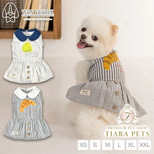 y1118|Cg2{!!zeBmeB[g TINOTITO ۋ݃XgCvsy^  gbvX ^Ngbv JWAz