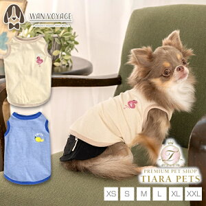 y1118|Cg2{!!zeBmeB[g TINOTITO RRhイ^Ny^  gbvX ^Ngbv JWAz