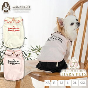 y1118|Cg2{!!zeBmeB[g TINOTITO [݃^Ny^  gbvX ^Ngbv JWAz