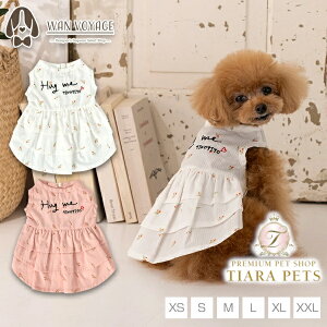 y1118|Cg2{!!zeBmeB[g TINOTITO Hugmesy^  s[X XJ[g JWAz