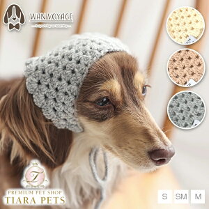 eBmeB[g TINOTITO ҂݃ou[VJy^  p hbOEFA wAANZT[z