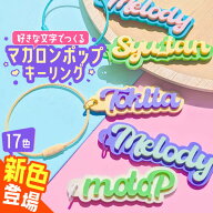 【限定クーポン発行中】 推し活グッズ 名前 キーホルダー [ 英語 ] 子供 名入れ プレート こども 幼稚園 …