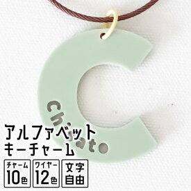 【限定クーポン発行中】 キーホルダー 名入れ アルファベット チャーム 推し レトロ 令和レトロ 文字入れ プレゼント 推し活グッズ 推し活 くすみカラー アクキー 可愛い オタク オリジナル グッズ カラー メンカラ メンバーカラー ライブ まとめ買い オーダー TICO ティコ
