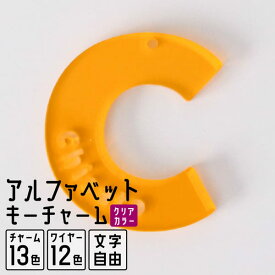 キーホルダー 名入れ アルファベット チャーム 推し レトロ 令和レトロ 文字入れ プレゼント 推し活グッズ 推し活 クリアカラー アクキー 可愛い オタク オリジナル グッズ カラー メンカラ メンバーカラー ライブ まとめ買い オーダー TICO ティコ