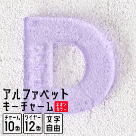 【限定クーポン発行中】 キーホルダー 名入れ アルファベット チャーム 推し レトロ 令和レトロ 文字入れ プレゼント 推し活グッズ 推し活 ネオンカラー アクキー 可愛い オタク オリジナル グッズ カラー メンカラ メンバーカラー ライブ まとめ買い オーダー TICO ティコ