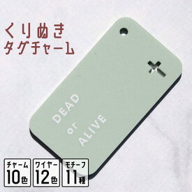 キーホルダー 名入れ くりぬき タグ チャーム 推し 文字入れ プレゼント 推し活グッズ 推し活 くすみカラー アクキー 可愛い オリジナル グッズ カラー メンカラ メンバーカラー まとめ買い ハート ホシ オーダー TICO ティコ