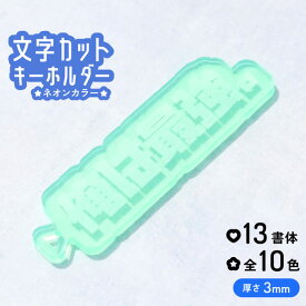 【限定クーポン発行中】 キーホルダー 名入れ 文字カット ホール 推し 文字入れ プレゼント 推し活グッズ 推し活 ネオンカラー アクキー 厚さ3mm ダイカット 可愛い オタク オリジナル グッズ カラー メンカラ メンバーカラー ライブ まとめ買い オーダー TICO ティコ