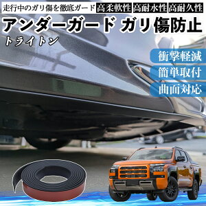 �y�|�C���g10�{ ���������z�O�H �g���C�g�� LC2T �A���_�[�K�[�h �K�����h�~ �A���_�[�v���e�N�^�[ �o���p�[�K�[�h �G�A���K�[�h ���[�� ���B�� TiCar