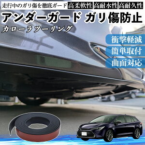 �y�|�C���g10�{ ���������z�g���^ �J���[���c�[�����O �A���_�[�K�[�h �K�����h�~ �A���_�[�v���e�N�^�[ �o���p�[�K�[�h �G�A���K�[�h ���[�� ���B�� TiCar