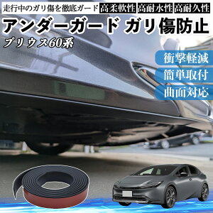 �y�|�C���g10�{ ���������z�g���^ �v���E�X60�n �A���_�[�K�[�h �K�����h�~ �A���_�[�v���e�N�^�[ �o���p�[�K�[�h �G�A���K�[�h ���[�� ���B�� TiCar