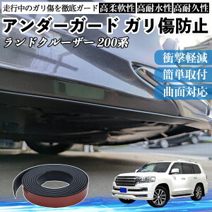 �y�|�C���g10�{ ���������z�g���^ �����h�N���[�U�[ 200�n �A���_�[�K�[�h �K�����h�~ �A���_�[�v���e�N�^�[ �o���p�[�K�[�h �G�A���K�[�h ���[�� ���B�� TiCar