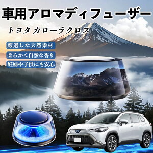 g^ J[NX  F [dA}fBt[U[ 8F͋CCg 3{t 2025V^ L CF  TiCar