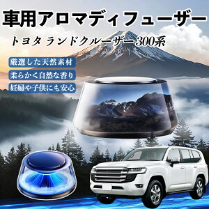 g^ hN[U[ 300n  F [dA}fBt[U[ 8F͋CCg 3{t 2025V^ L CF  TiCar