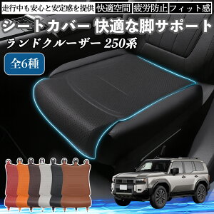 y|Cg10{ zg^ hN[U[ 250n ԗp V[gJo[ J[V[g V[gNbV ȃV[g zc rT|[g 3D\ ~ ꖇ TiCar