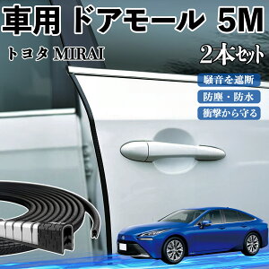 g^ MIRAI  hA[ hAGbW[ hAK[h veN^[ U^ h~ ی ጸ 5M 2{Zbg TiCar