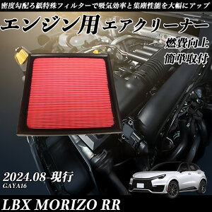 y|Cg10{ zLBX MORIZO RR GAYA16 GAtB^[ GAN[i[ GA[tB^[ GW p i RP ticar