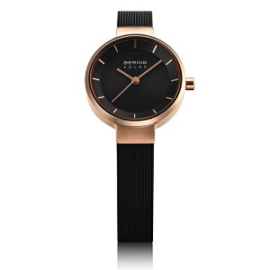 sBERINGtScandinavian Solar XJWirA \[[ BER-14627-166 fB[X