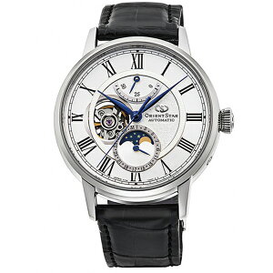 sORIENT STARtJjJ[tFCY RK-AY0101S  Y