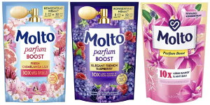 600~`y Molto zg pt[u[Xg t _  650ml l pbN tB lߑւ ( tbVJTuJ[ or GKgt`Yx[ or q}n