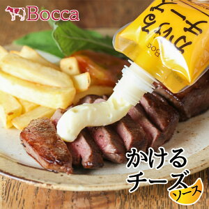 q `[Y\[X JRCbgy110gzkC yY ܂ fBbv\[X `[YtHf p  pX^ Mtg v[g 