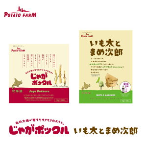 Ⴊ|bN Ƃ܂ߎYy6ܓ×e1z|egt@[ Jr[ |eg`bvX XibN  َq kC yY Mtg v[g  