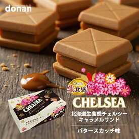北海道 生食感チェルシー キャラメルサンド バタースカッチ味 6個入 道南食品 明治 復活 チョコ クッキー サンド ご当地 お土産 ギフト 贈答 贈り物 お取り寄せ