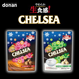 【12/21まで100円OFF】北海道 生食感チェルシー バタースカッチ味・ヨーグルトスカッチ味 【標準21粒入(90g)×各1個】道南食品 明治 北海道 お土産 おやつ お菓子 銘菓 ギフト プレゼント お取り寄せ ご当地 北海道限定
