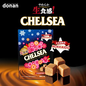 北海道 生食感チェルシー バタースカッチ味 【標準21粒入(90g)】道南食品 明治 北海道 お土産 おやつ お菓子 銘菓 ギフト プレゼント お取り寄せ ご当地 北海道限定