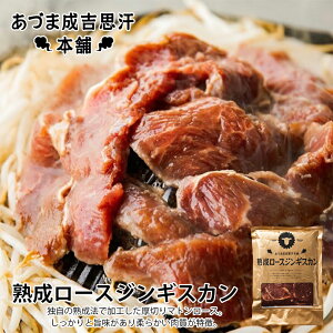 Â܃WMXJyn[XWMXJzy400gzyⓀzkC yY WMXJ r ē ⓀHi H т̂ o[xL[ BBQ Mtg v[g 