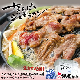 なんぽろジンギスカン 味付羊肉【ラム】【500g×5個セット】【冷凍】北海道 お土産 ジンギスカン マトン ロース 羊肉 ギフト プレゼント お取り寄せ 送料無料