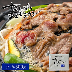 ȂۂWMXJyzy500gzyⓀzkC yY WMXJ ē BBQ r ⓀHi H Mtg v[g 