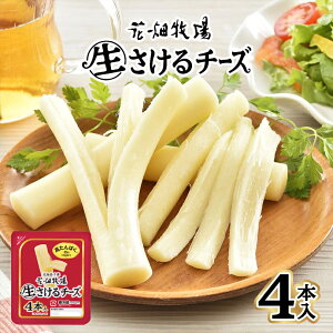 Ԕq `[Y v[y4{zy①zkC yY ܂ Mtg v[g 