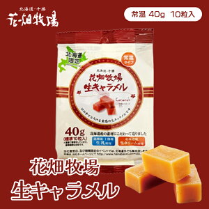 Ԕq Lyv[zy퉷zyW10(40g)zkC yY L N[   XC[c  َq Mtg v[g 